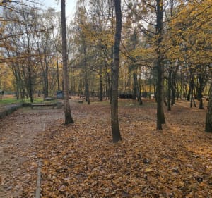 3 siłownie pod chmurką - Szczecin - 3