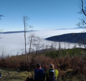 Bystra; Klimczok, Szyndzielnia nad możem mgły. - Bystra - 4