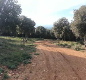 Bain de nature à VTT sur le massif au Nord de Draguignan - Draguignan - 3