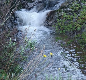 Randonnée "Les 25 ponts" Roquebrune/Argens  7km - Roquebrune-sur-Argens - 3