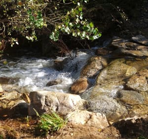 Randonnée "Les 25 ponts" Roquebrune/Argens  7km - Roquebrune-sur-Argens - 4