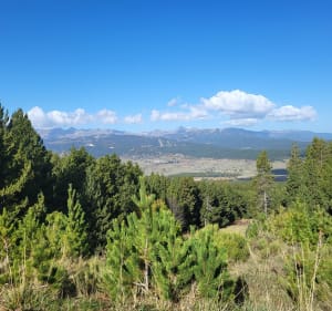 Pla du Cambre et Clot de Rodes - Eyne - 5