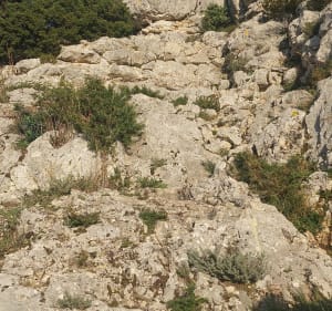 Rando dans le Lubéron - Robion - 3