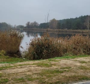 Leszno Żwirownia - Leszno - 5
