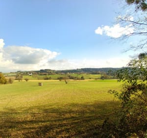 Balade de Saint-Germain-des-Fossés et l'Allier - Saint-Germain-des-Fossés - 3