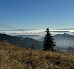 Wyprawa na Waligórę - Rybnica Leśna - 3