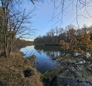 Okolice Spały i Pilicy - Spała - 5