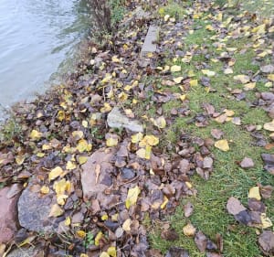 Pomosty nad jeziorem w Nądnii - Nądnia - 5