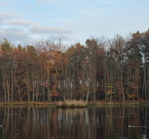 Spacerem po Puszczy - Kłaj - 3