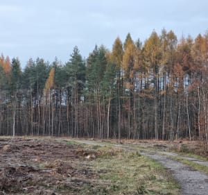 Spacerem po Puszczy - Kłaj - 4