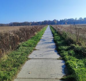 WIEŻA WIDOKOWA ŁYSAKÓW I PRZYSTAŃ KAJAKOWA NAD R.BYSTRZYCĄ - Łysaków - 3