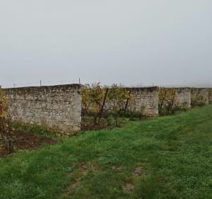 Clos cristal - Parnay - 4