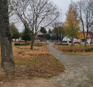 Spacer w centrum miasta - Wasilków - 5