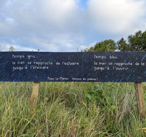 Presqu’île de Pen Enez - Plouguerneau - 5