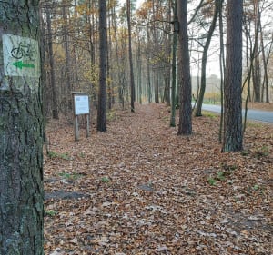 Żmijewo i okolice - Brodnica - 4