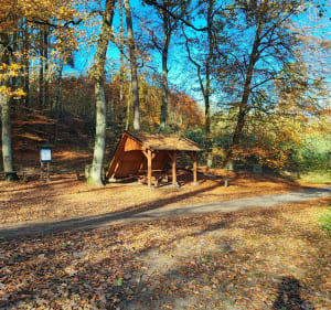 Żmijewo i okolice - Brodnica - 5