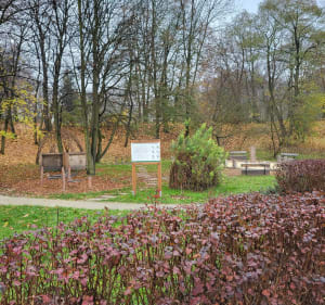 Park na Południu w Chrzanowie - Chrzanów - 4