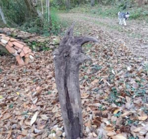 Bourrou  variante départ  de la mairie - Bourrou - 5