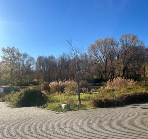 Lasek na Kole przez 2 parki - Warszawa - 3