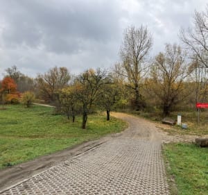 Trasa nadbrzeżem lewej strony Wisły - Warszawa - 3