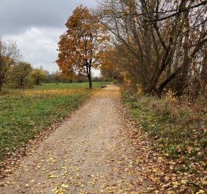 Trasa nadbrzeżem lewej strony Wisły - Warszawa - 5