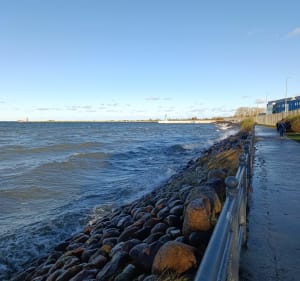 Trasa widokowa w okolicy parku w Brzeznie - Gdańsk - 3