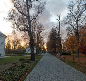 Wycieczka do parku w Młochowie - Złotokłos - 4