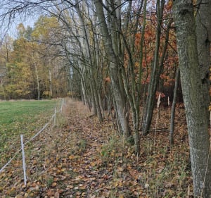 Malowniczy Szlak przez Naturę: Spotkanie ze Zwierzętami Hod - Piekary Śląskie - 3