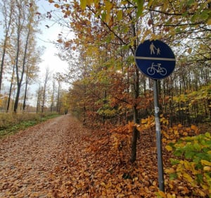 Malowniczy Szlak przez Naturę: Spotkanie ze Zwierzętami Hod - Piekary Śląskie - 4