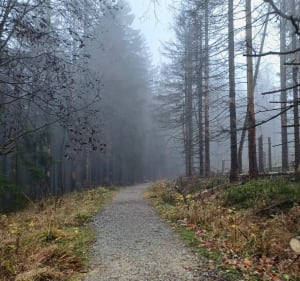 Krótka acz interesującą trasa - Kudowa-Zdrój - 4