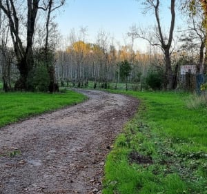 Un petit tour dans le marais et Canal du Mignon - Saint-Hilaire-la-Palud - 4