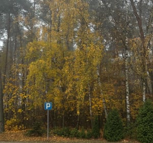 Słupno nad rzekę - Słupno - 3