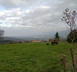 Bas de Sorbiers et Haut de Saint-Chamond - Sorbiers - 3