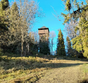 Krótka trasa do wieży widokowej na Magurkach - Ochotnica Górna - 3