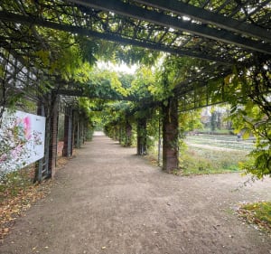 Spacer przez parki starego Pogodna - Szczecin - 4