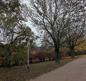 Włochy glinianki - Warszawa - 3