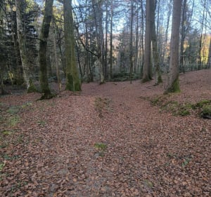 Plateaux des Bornes - Arbusigny - 3