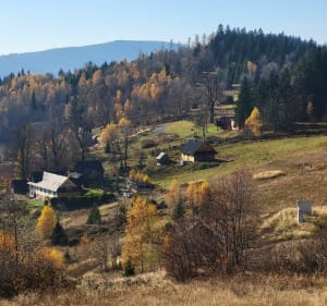 Przełęcz Przysłop, Jałowiec, Zawoja - Zawoja - 3