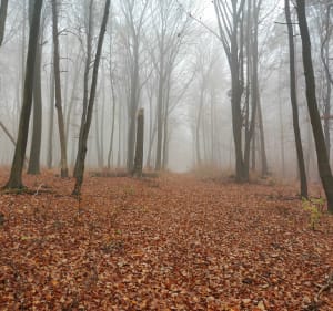 Spacer Doliną Eliaszówki - Czerna - 5