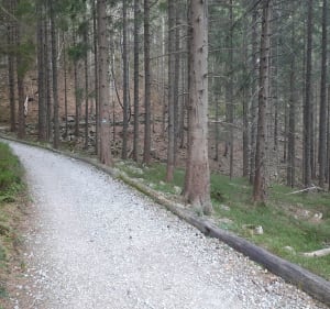 Jesienna Babia Góra - Zubrzyca Górna - 5