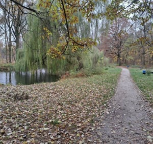 Dębina- stawy - Poznań - 3