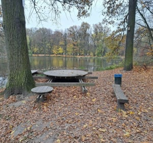 Dębina- stawy - Poznań - 4