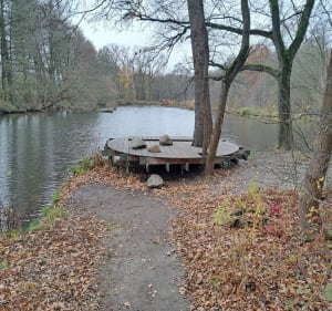 Dębina- stawy - Poznań - 5