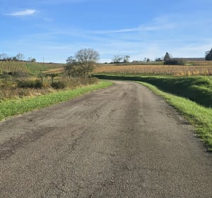 Petite balade dans les vignes à Arbois - Arbois - 4
