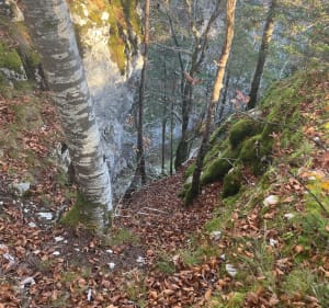 Vue du Bechet et Morez - Hauts-de-Bienne - 3