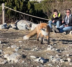 Zielony szlak do Skalnego Plesa - Vysoké Tatry - 4
