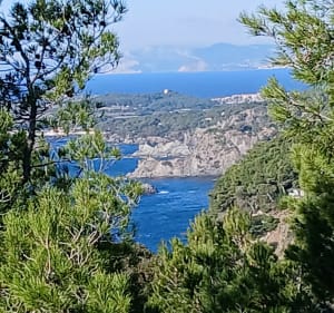La Leque à Notre Dame du Mai - Six-Fours-les-Plages - 3