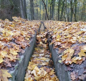 Trasa piesza wokół Lasu Arkońskiego - Szczecin - 3