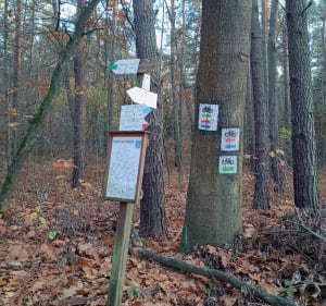 Ligocka Kuźnia, Polana Karnatowiec i z powrotem - Rybnik - 3