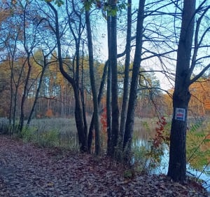 Ligocka Kuźnia, Polana Karnatowiec i z powrotem - Rybnik - 4